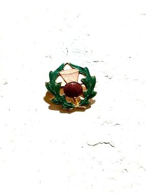 Green Enamel Thistle Pin with Burgundy Accent